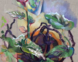 7begonia-copy