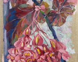 6wbegonia_morning