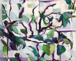 hibiscus-study