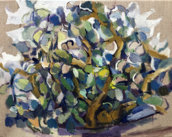 7jadeplant