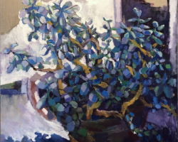 7plant