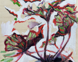 5red-green-and-black