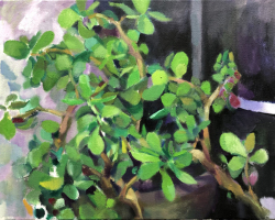 study